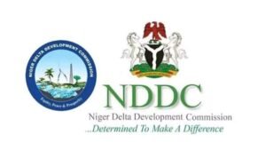 Court Orders Tinubu Govt To Publish Names Of Those Indicted In NDDC N6Trillion Misappropriation